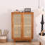 Armoire de rangement pour chaussures style chinois-100560335