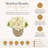 Fall Hydrangea Floral Arrangement-1499773840