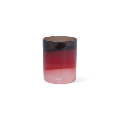 Verre 12 oz Silipint Silipint