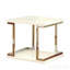 Contemporary Style White 1pc End Table Bottom Shelf High Gloss Lacquer Coating Chrome Frame Accents Living Room Furniture