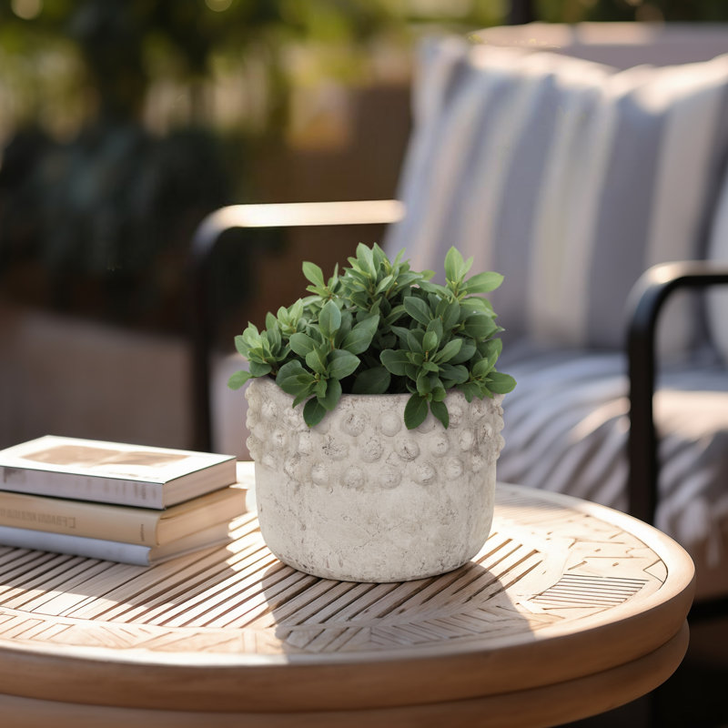 Planter Pottery Terracotta Raised-Dot Textured Rim Sculpted Detailing Handcrafted Design Rustic Decorative Accent Planter Pot Ideal for Indoor Outdoor Decor and Botanical Display Spaces