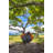 SuperSub™ Camping Hammock-39299945