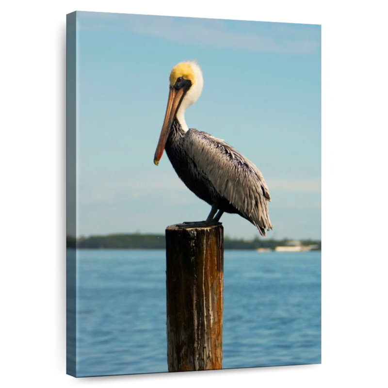 Brampt Pelican Outdoor, 30" H x 20" W