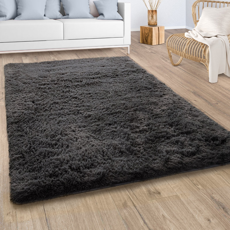 Hellfried Uniform Color Shag Area Rug, Rectangle 160 x 220cm