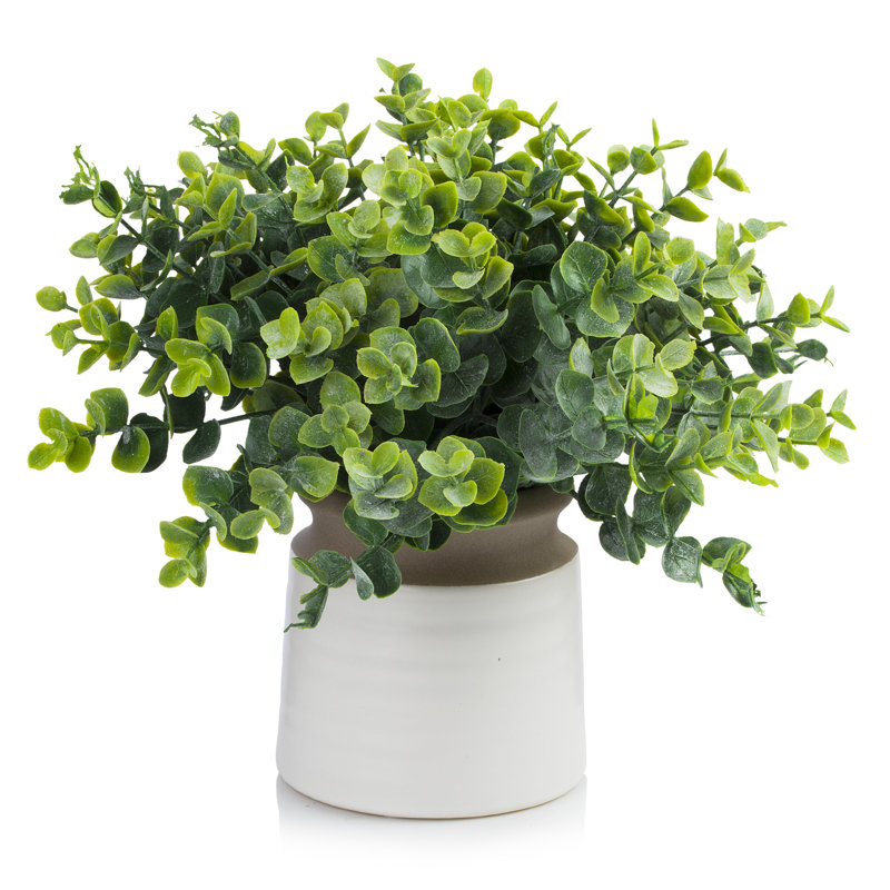 11'' Faux Eucalyptus Topiary in Ceramic Pot