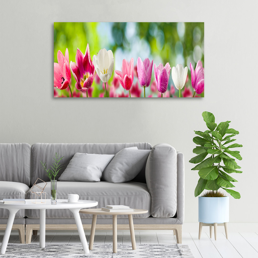 Tulpen - Kunstdrucke auf Segeltuch