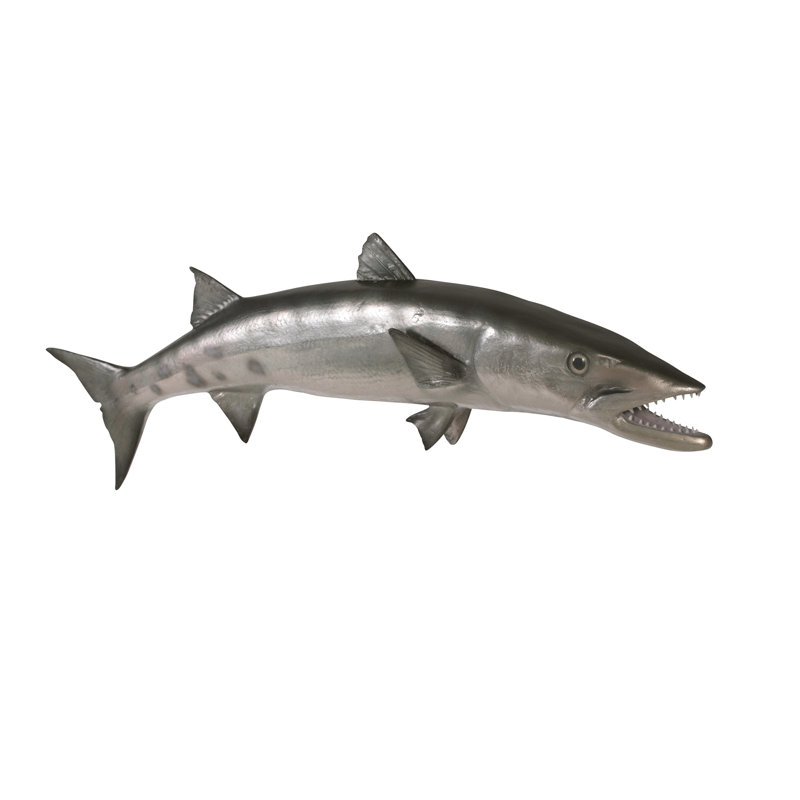 Sculpture à fixation murale barracuda