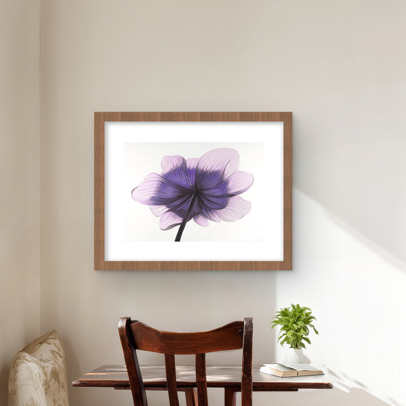 Magnifique fleur d'anémone mauve, impression encadrée