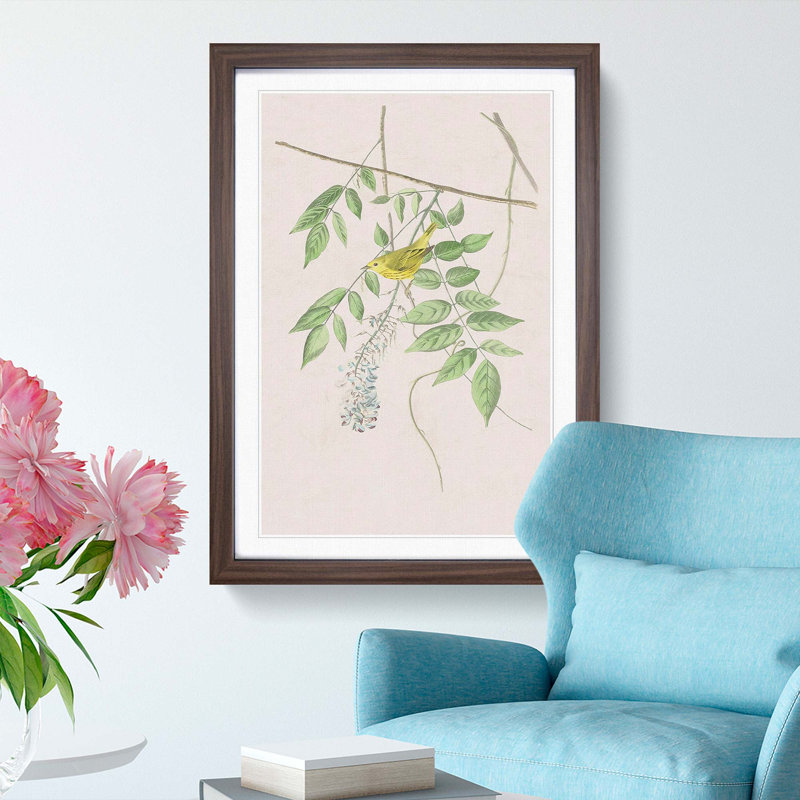 Blue Eyed Yellow Warbler by John Audubon - Picture Frame Painting Print, Walnut Framed, 36cm H x 27cm W x 2cm D