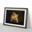 Red Squirrel - Framed Print-55598278-55598282