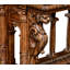Windsor 57.5'' W Solid Wood Console Table