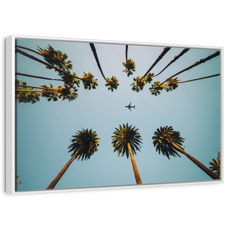 Avion au-dessus de palmiers, Cadre flottant blanc, 31 po x 21 po