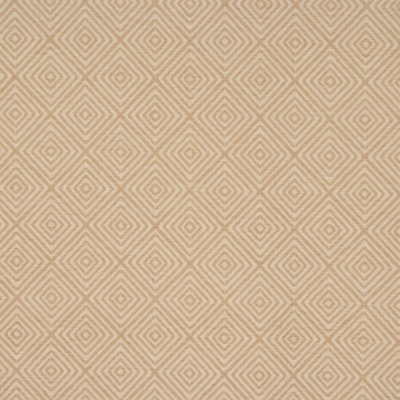 Allure Fabric