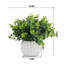 Herbe d'eucalyptus artificiel 10 po en pot
