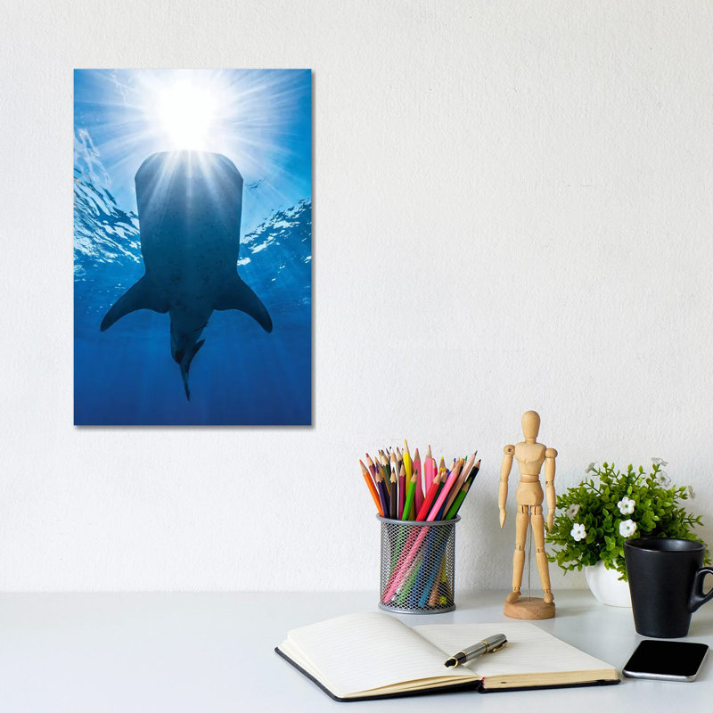 Whale Shark AndSun by Barathieu Gabriel - Wrapped Canvas Print, 20.32 cm H x 30.48 cm W