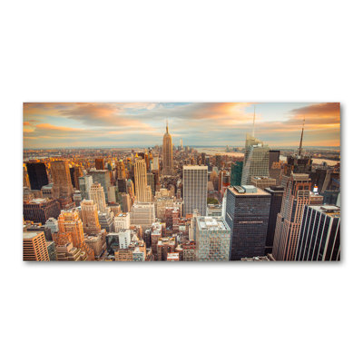 New York Bird Flight 1 Piece Wrapped Canvas Wall Art