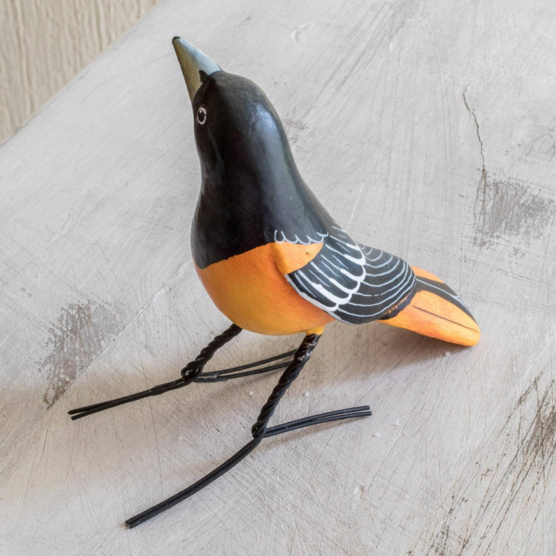 Rustemi Baltimore Oriole