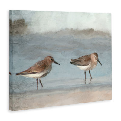 «Little Two Sandpiper pair», art mural par Kim Allen