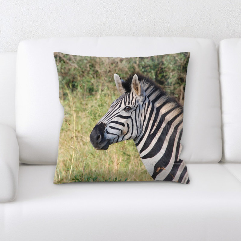 Coussin sud afrique south