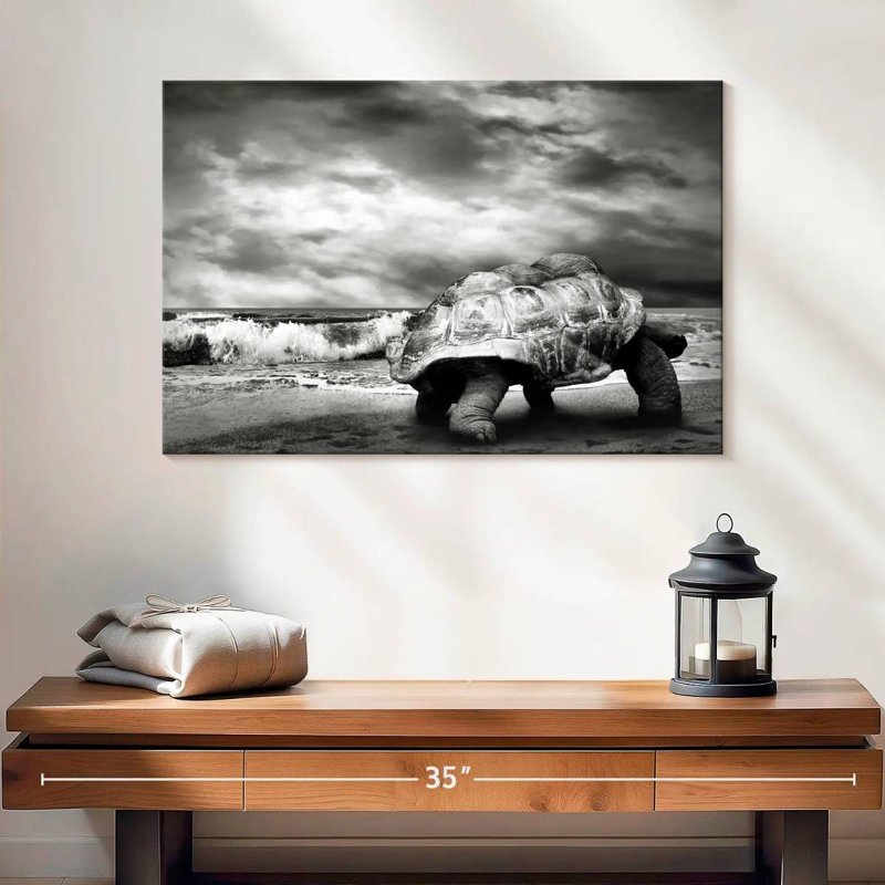Tortue géante Brampt BW, H 16 po x l 24 po