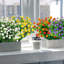 Arrangement