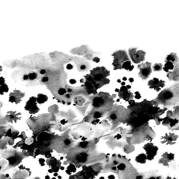 « rania b&w », reproduction d’art sur toile, H 24 po x l 24 po x P 1 po, Papier d'art encadré noir