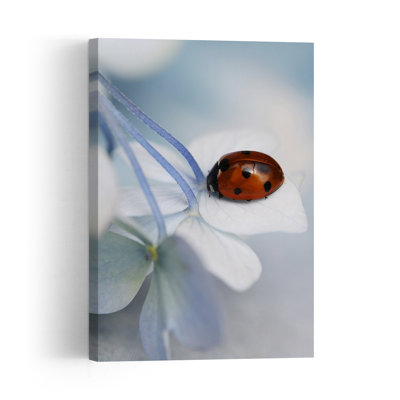 Ladybug On Blue Bloom Delicate Peaceful Ladybug Flower Nature Wall Art Print by Ellen van Deelen - 1 Piece Wrapped Canvas Wall Art