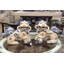 Animals Figurines & Sculptures-1868400727-1868400726