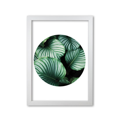 Leaves Circle - Print