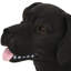 Banc pour chien tendance en béton léger, sans assemblage, l 30,85 po x P 8,91 po, H 16,76 po