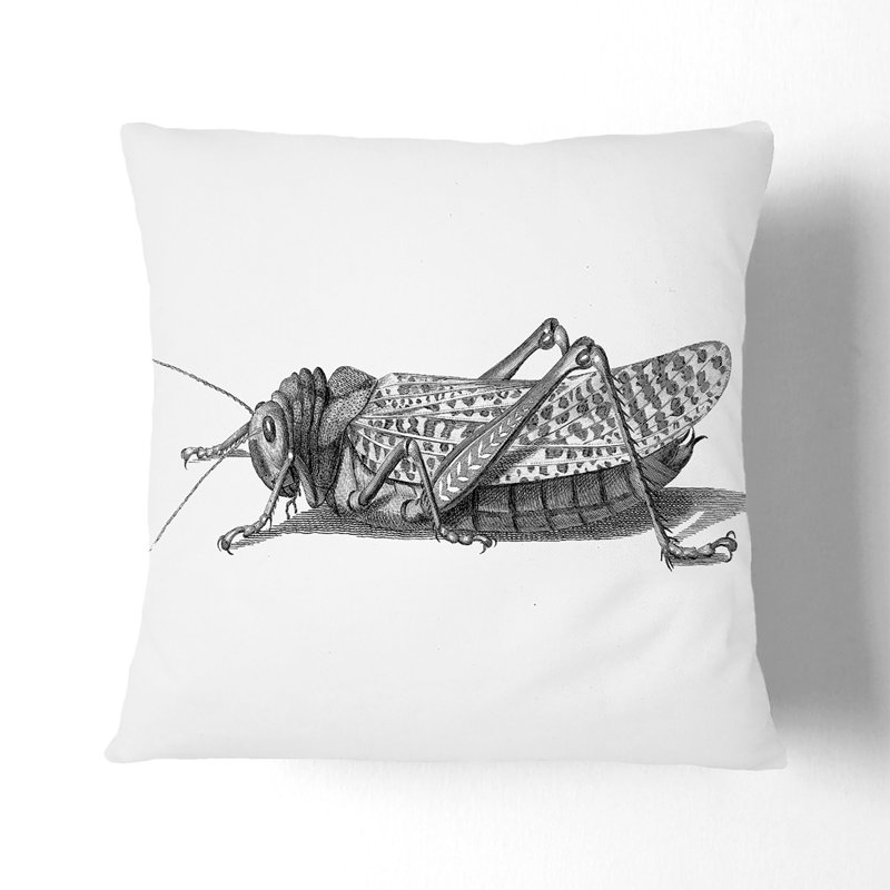 Square Throw Cushion, 55cm H x 55cm W x 20cm D