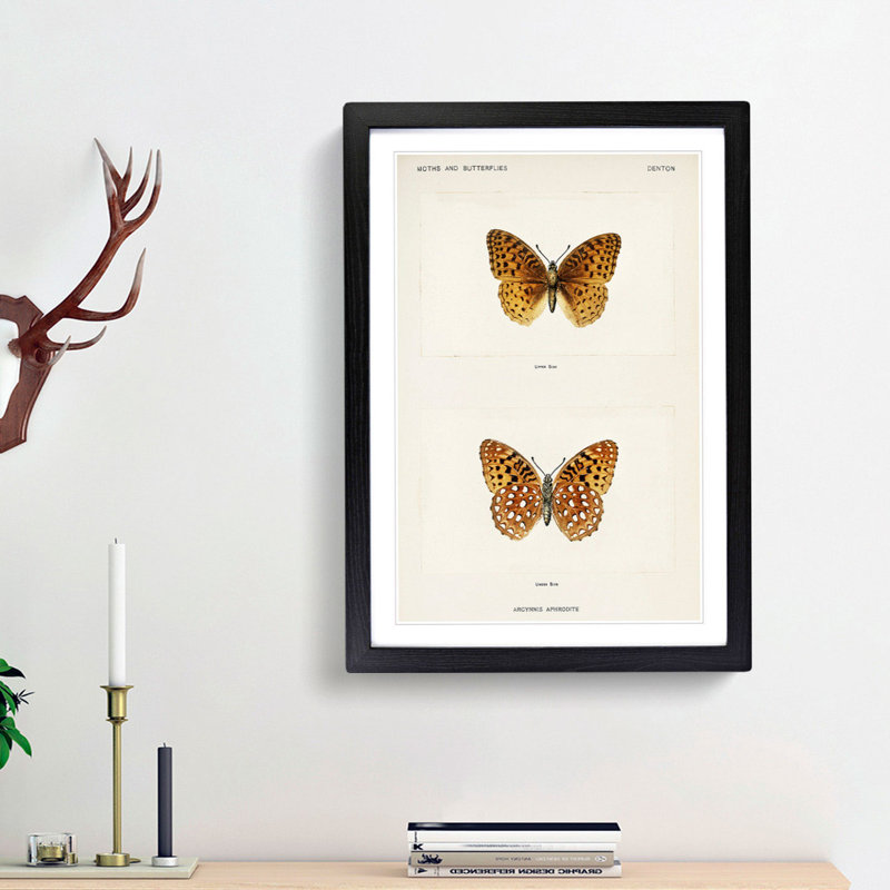 Aphrodite Fritillary Butterfly by S.F. Denton - Single Picture Frame Painting, 45cm H x 33cm W x 2cm D, Black Framed