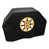 Boston Bruins