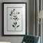 Shabby Elegance Botanical II, reproduction encadrée de qualité supérieure - prête à être accrochée-1427717059-1427717061