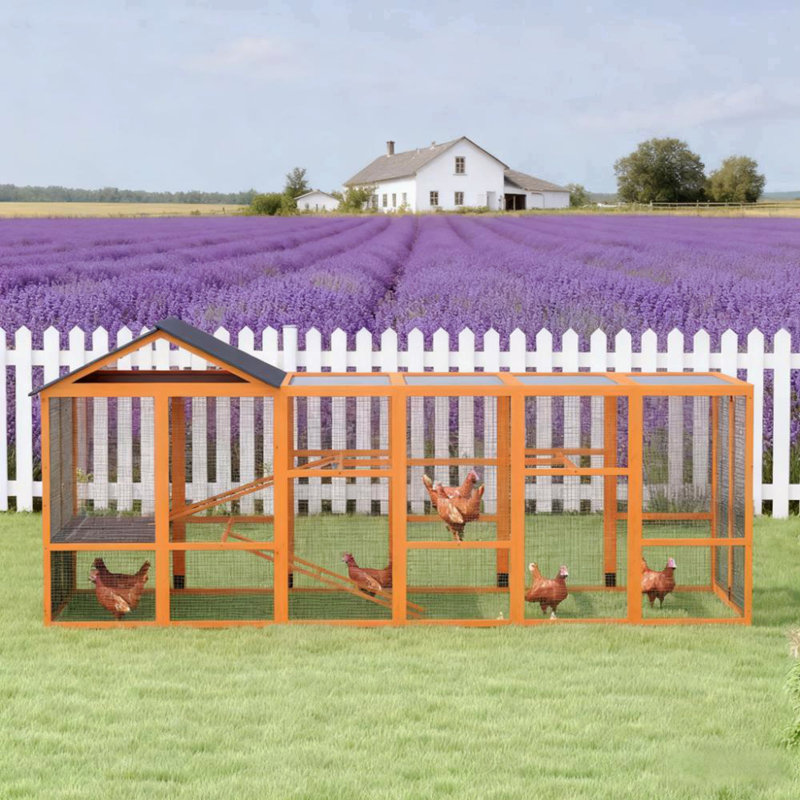  Poulailler pour 6 à 10 poules