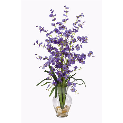 Orchid Arrangement