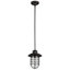 Luminaire suspendu en pot 1 lumière Glossop