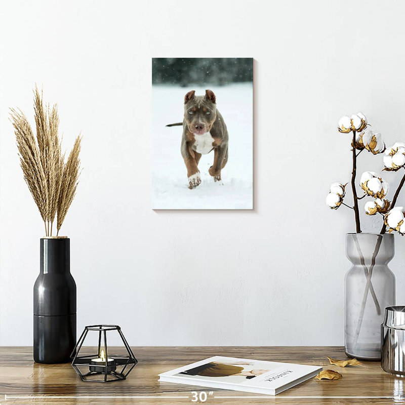 Pit Bull On Snow, 12" H x 8" W
