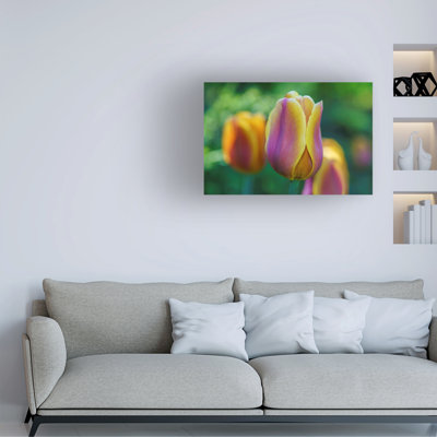 Art sur toile Suzanne Bonin