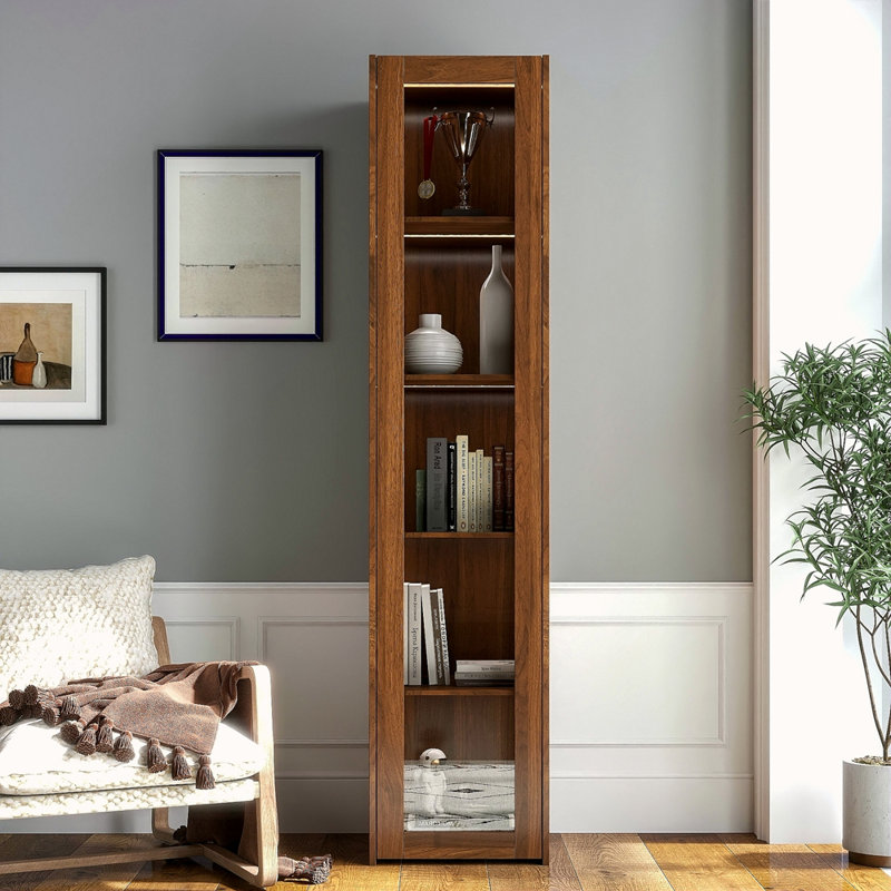 Vitrine avec portes en plaque d'acrylique transparente, armoire de rangement Curio avec 5 tablettes, bibliothèque avec lumières DEL