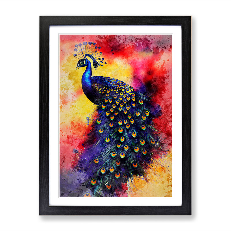 Exciting Peacock No.1 - Single Picture Frame Print, Black Framed, 46cm H x 34cm W x 2cm D