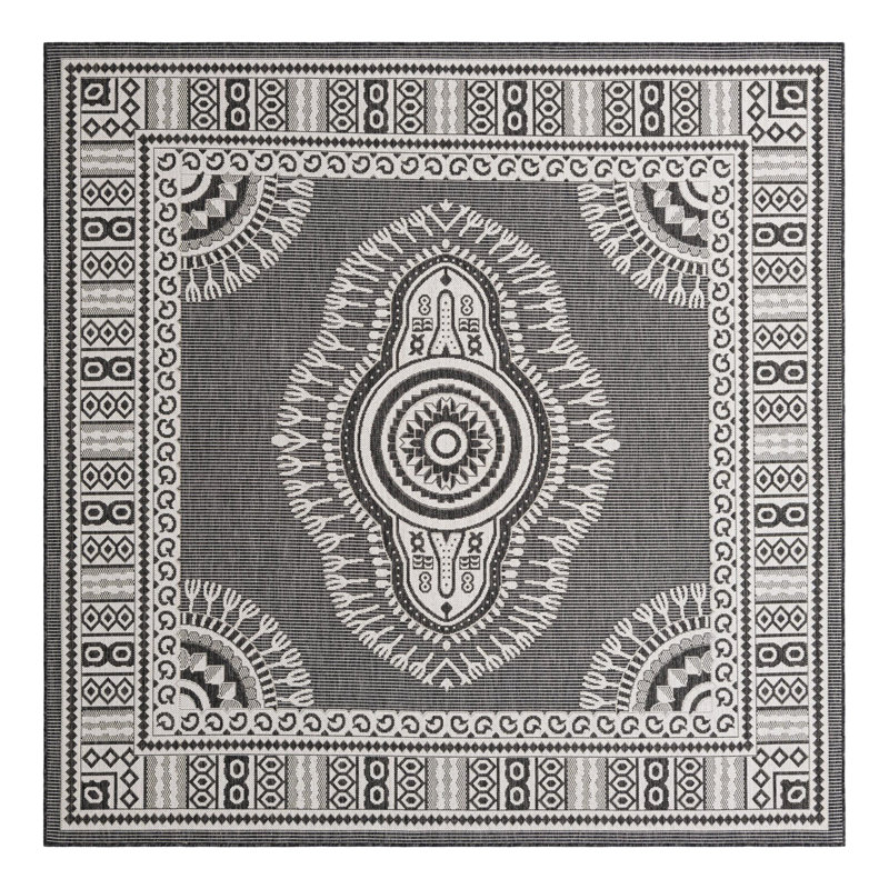 Indoor/Outdoor Traditional Area Rug, Square 7'10"