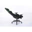 Fit@home Adjustable Armrest and Reclining PC & Racing Game Chair in Black and Green