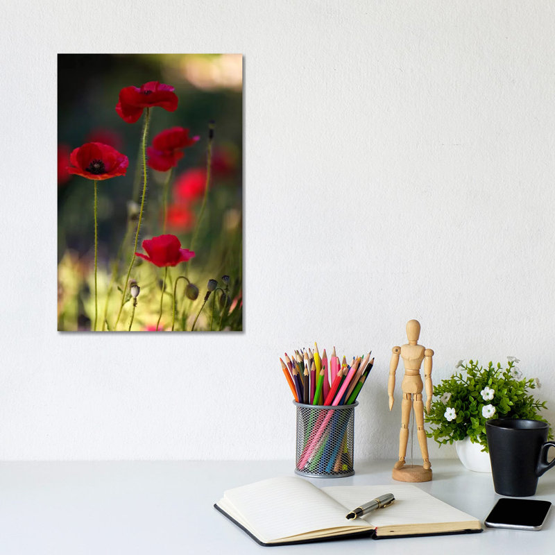 Morpheus Ascending by Geoffrey Ansel Agrons - Wrapped Canvas Print, 20.32 cm H x 30.48 cm W