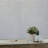 33' L x 1.75" W Wallpaper Roll