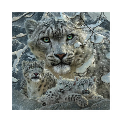 «Snow Leopard Collage» par Collin Bogle - impression