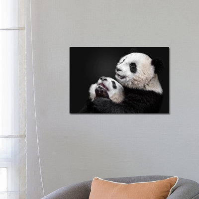 Pandas 1 Piece Wrapped Canvas Painting