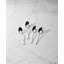 French Perle Dinner Spoons, Set of 4