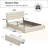 Candler Queen Bed With 4 Drawers And Headboard, Velvet Upholstered Platform Bed, Sturdy Metal & Wooden Slats Support, No Box Spring Needed, Easy Assembly-2000677980-2000677984