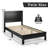 Algene Platform Bed-242550562-242550561